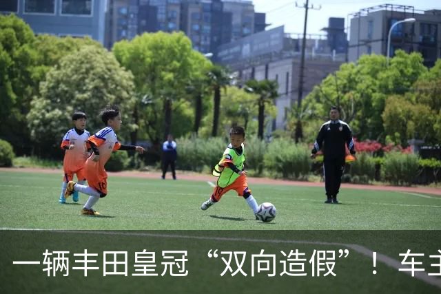 一辆丰田皇冠“双向造假”！车主调低公里数 4S店却调高至30万公里