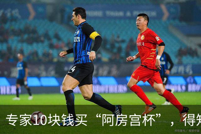 专家10块钱买“阿房宫杯”，得知是国宝却找不到农民卖家，留下终身遗憾