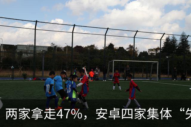 两家拿走47%，安卓四家集体“失血”：手机市场变成两个人的游戏