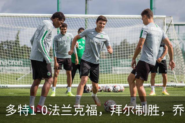 多特1-0法兰克福，拜尔制胜，乔布-贝林厄姆送助攻