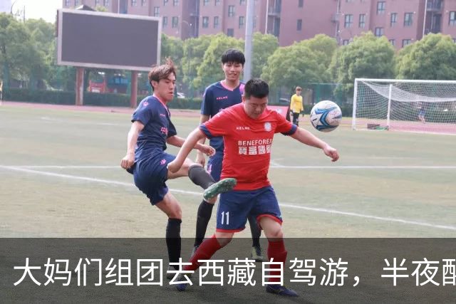 大妈们组团去西藏自驾游，半夜醒来，她发现除了自己其他人全死了