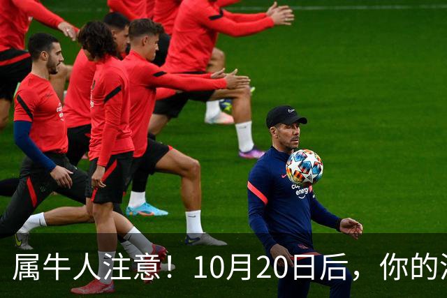 属牛人注意！10月20日后，你的清闲日子要暂时叫停了