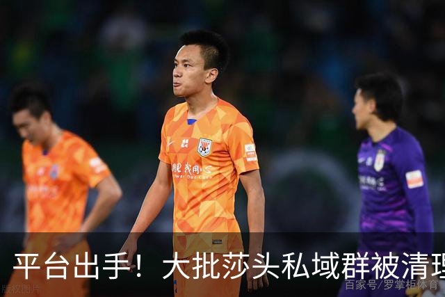 平台出手！大批莎头私域群被清理，饭圈乱象整治，全网纷纷叫好