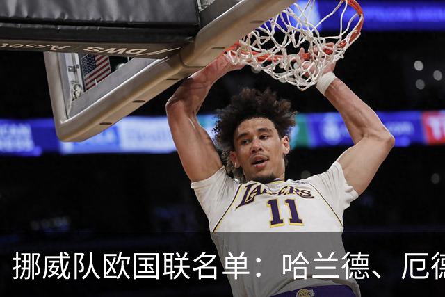 挪威队欧国联名单：哈兰德、厄德高领衔，瑞尔森、努萨在列