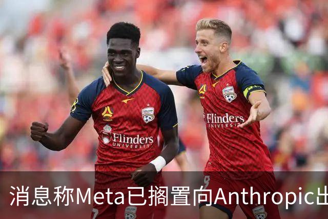 消息称Meta已搁置向Anthropic出租AI算力的计划