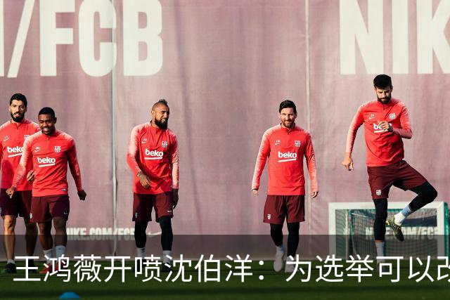 王鸿薇开喷沈伯洋：为选举可以改变自己的人设？确实厉害！