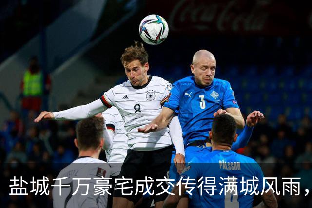 盐城千万豪宅成交传得满城风雨，中介的职业素养呢？