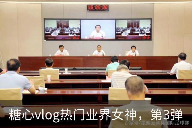 糖心vlog热门业界女神，第3弹