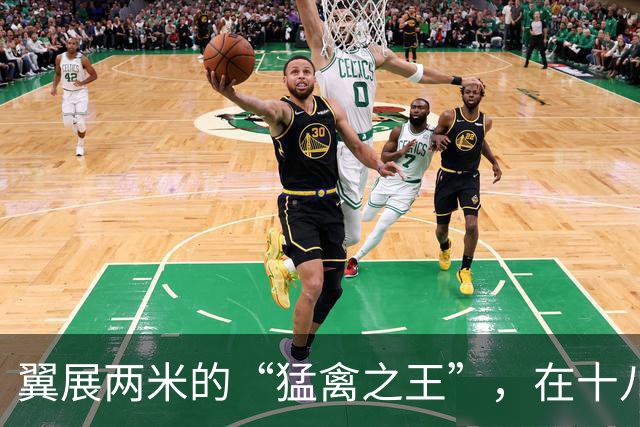 翼展两米的“猛禽之王”，在十八里长峡被拍到了