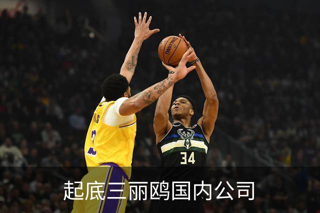 起底三丽鸥国内公司