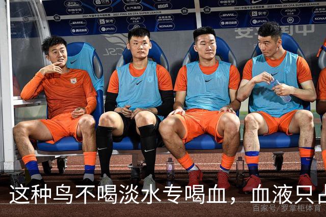 这种鸟不喝淡水专喝血，血液只占食谱十分之一