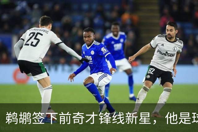 鹈鹕签下前奇才锋线新星，他是球队内线新星的昔日队友？