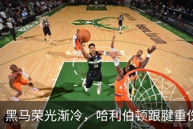 黑马荣光渐冷，哈利伯顿跟腱重伤归来重新出发